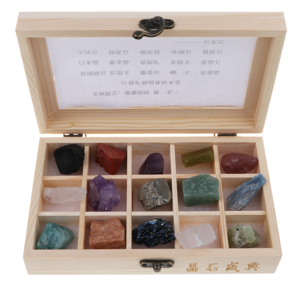 20x Mineral & Rock Specimens Educational Collection Teaching Aid in Wooden Box
