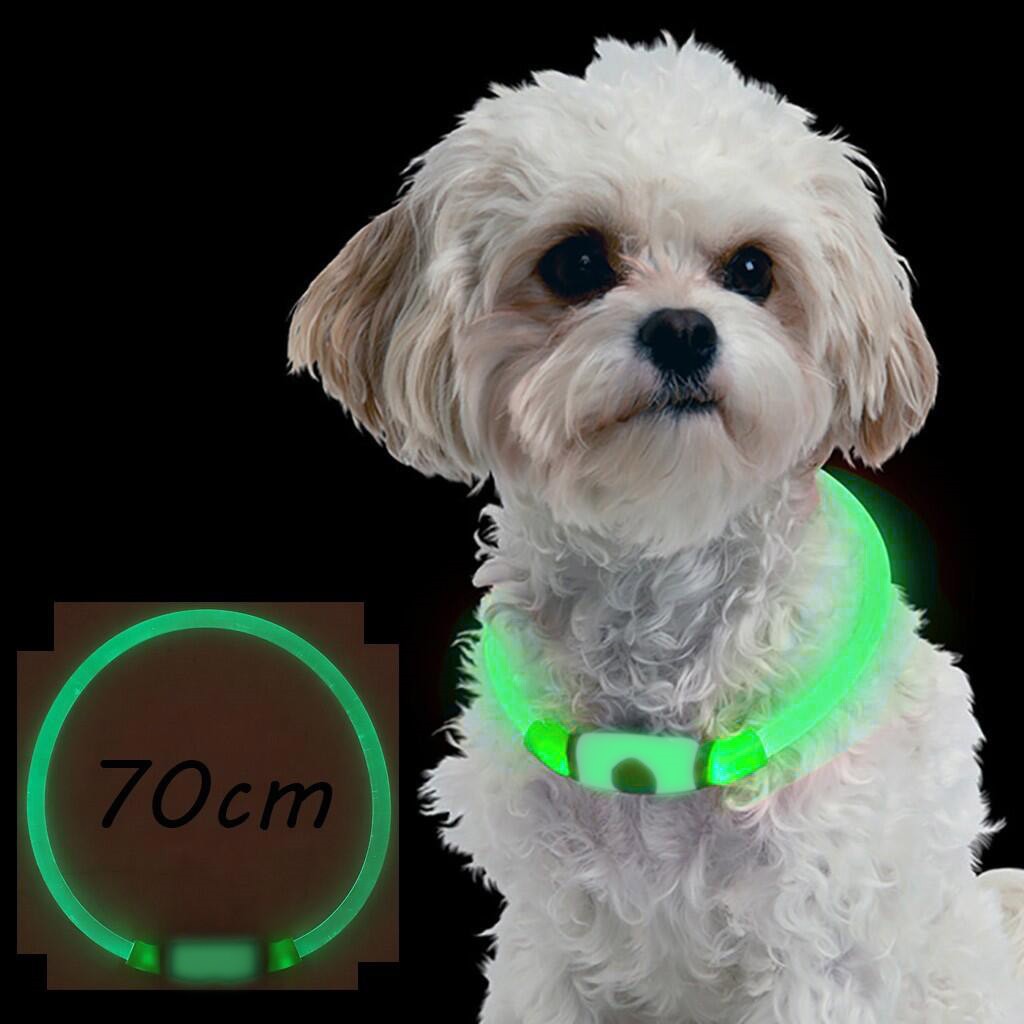 USB Charging Pet Dog Collar Rechargeable LED Tube Flashing Night Dog