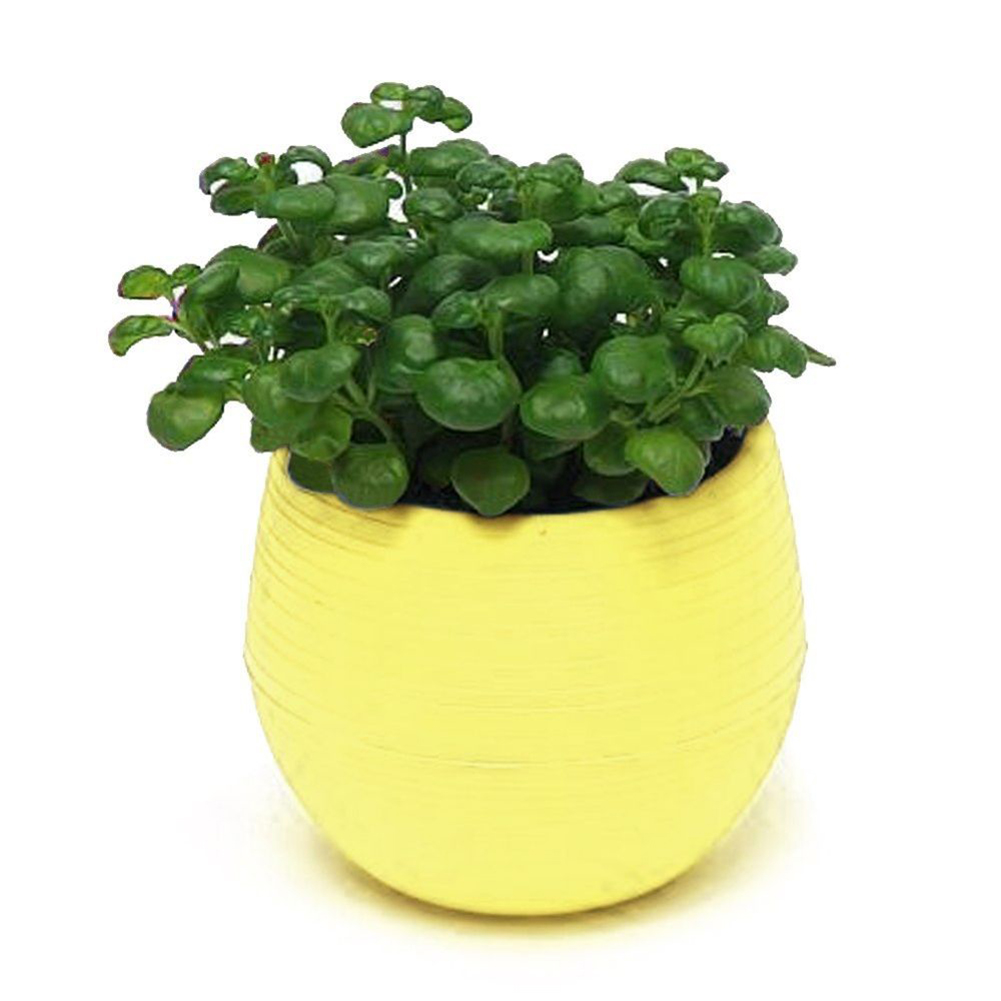 Description Picture 6 of itemCute Succulent Plants Flower Pot Saucer Tray Planter Home Desk Garden Decor Creative Small Pots For Plants macetas