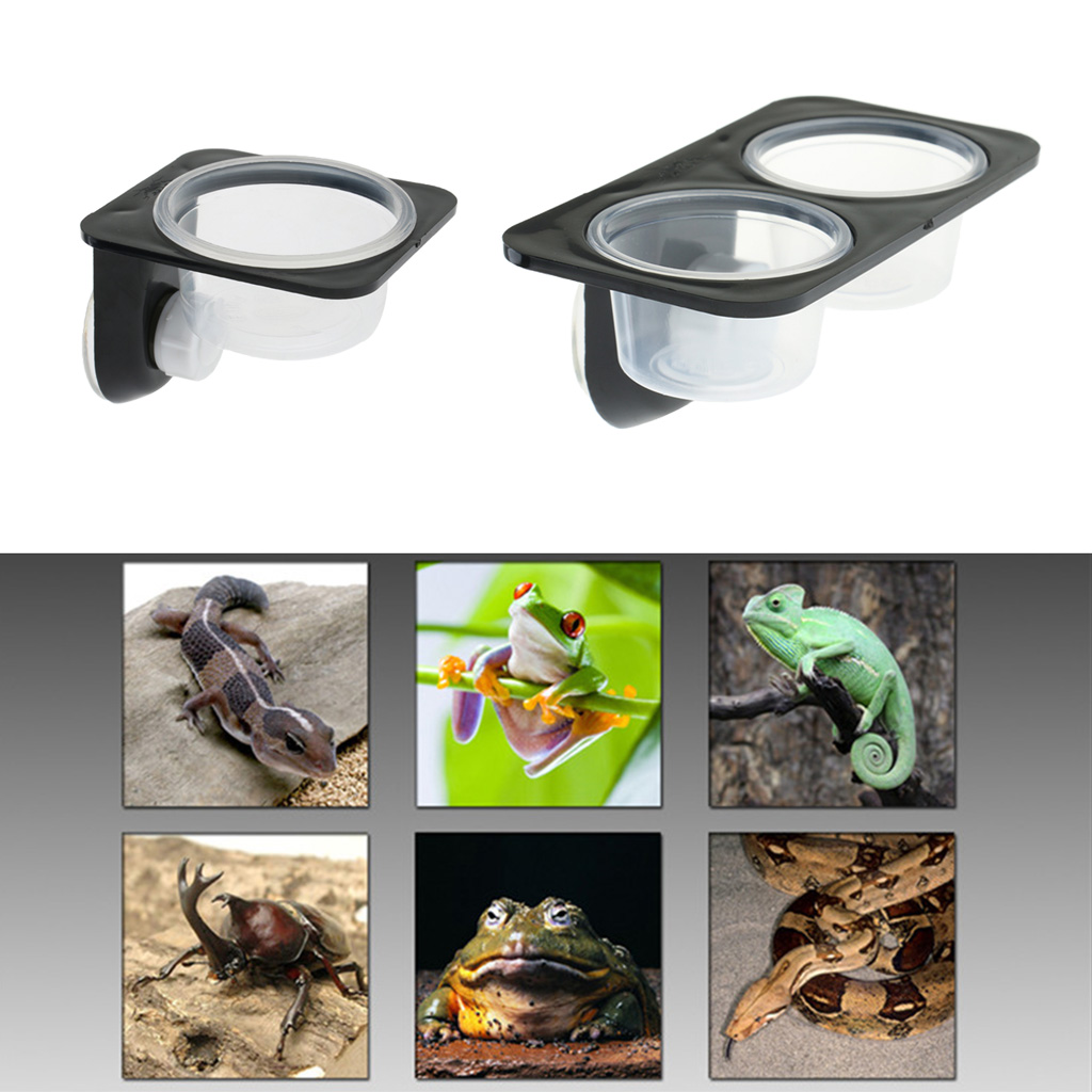 Reptiles Lizard Feeder Food Bowl Anti-escape Dish with Suction Cup Basin 