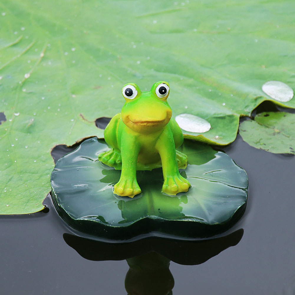  "The Ultimate Guide to Caring for Your Rain Frog Pet: Tips and Tricks for a Happy Amphibian"