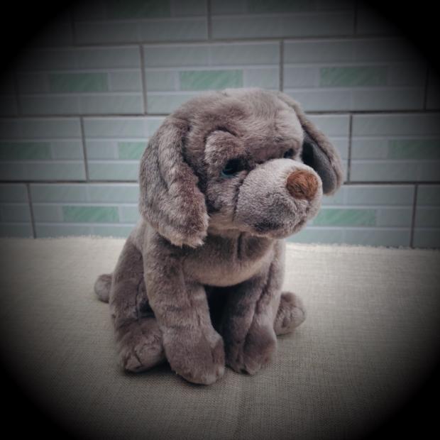 weimaraner peluche