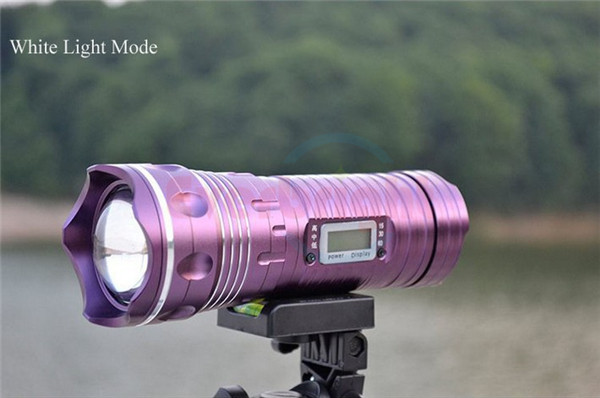 5w-Zoom-Blue-White-Light-Source-CREE-Q5-LED-Night-Fishing-Camping-Lamp-Power-Display-Tripod (2)