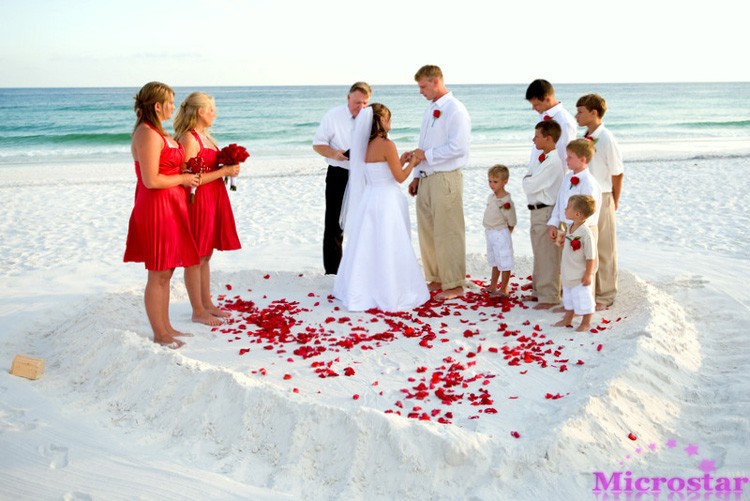 Beach-Wedding-Theme-Photo-4