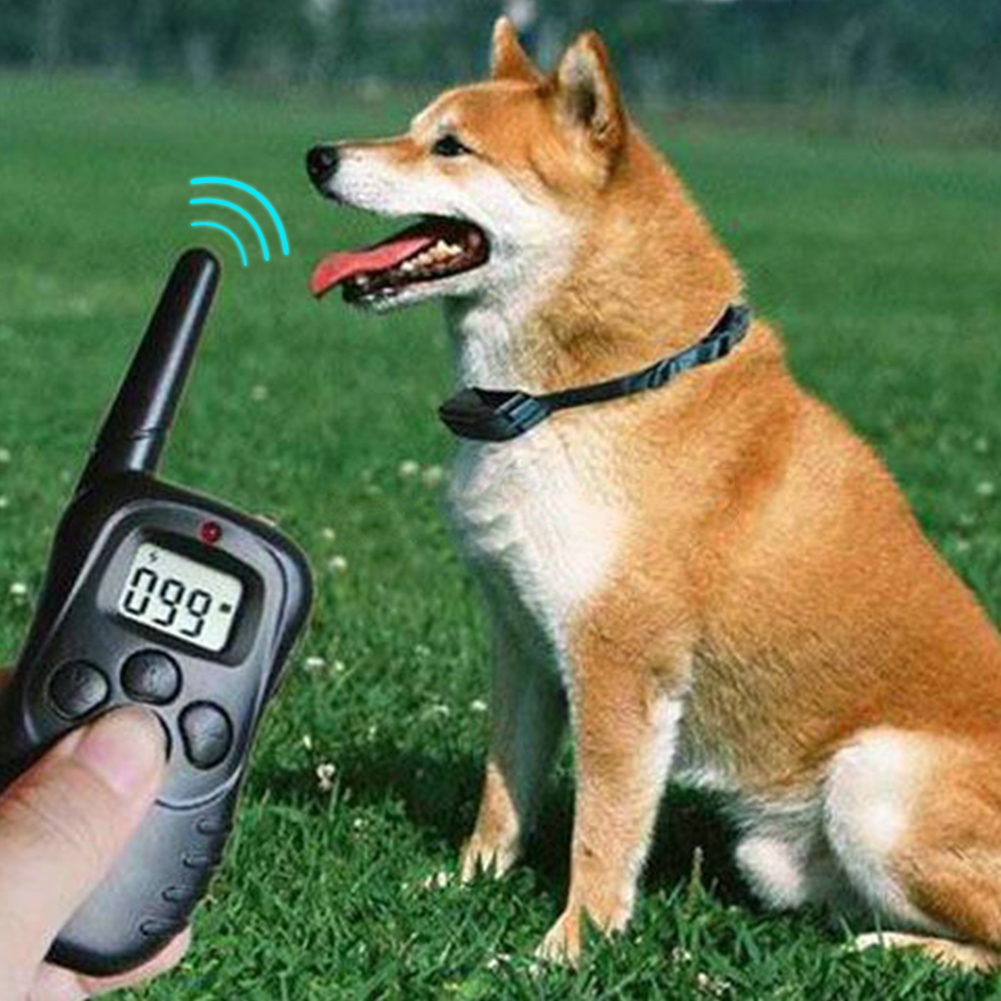 Remote Control Waterproof LCD Electronic Shock Remote Dog ...