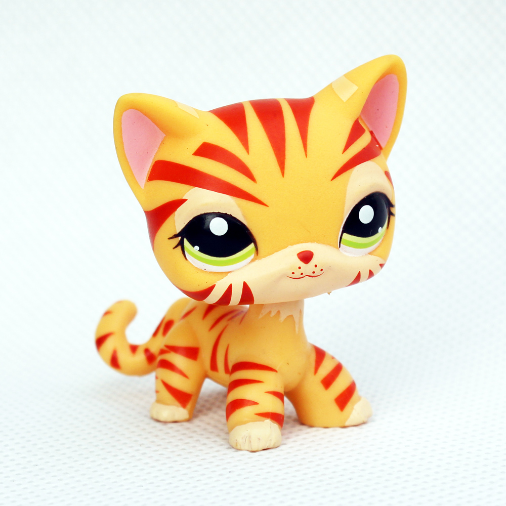 lps shorthair cat yellow