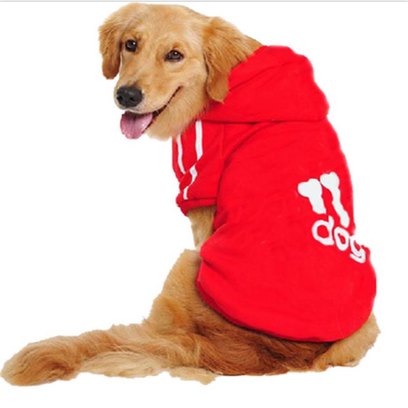 Promoción de Golden Retriever Chaqueta Compra Golden Retriever