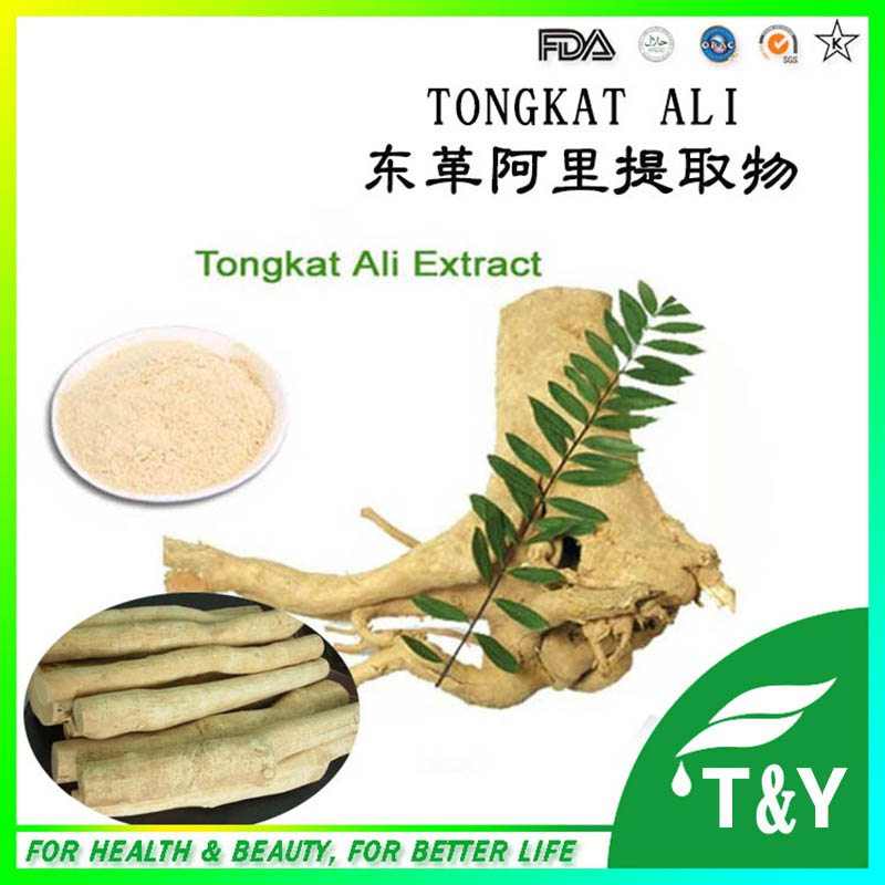 China sreliable factory supply high quality tongkat ali root extract powder 10:1 700g/lot