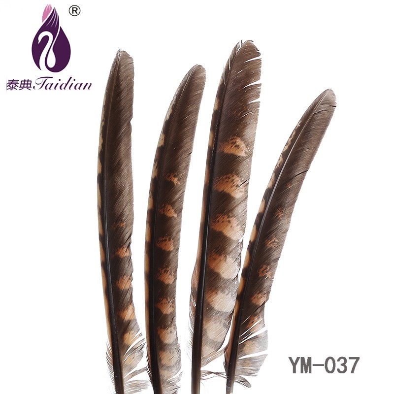 YM-037 Natural Feathers