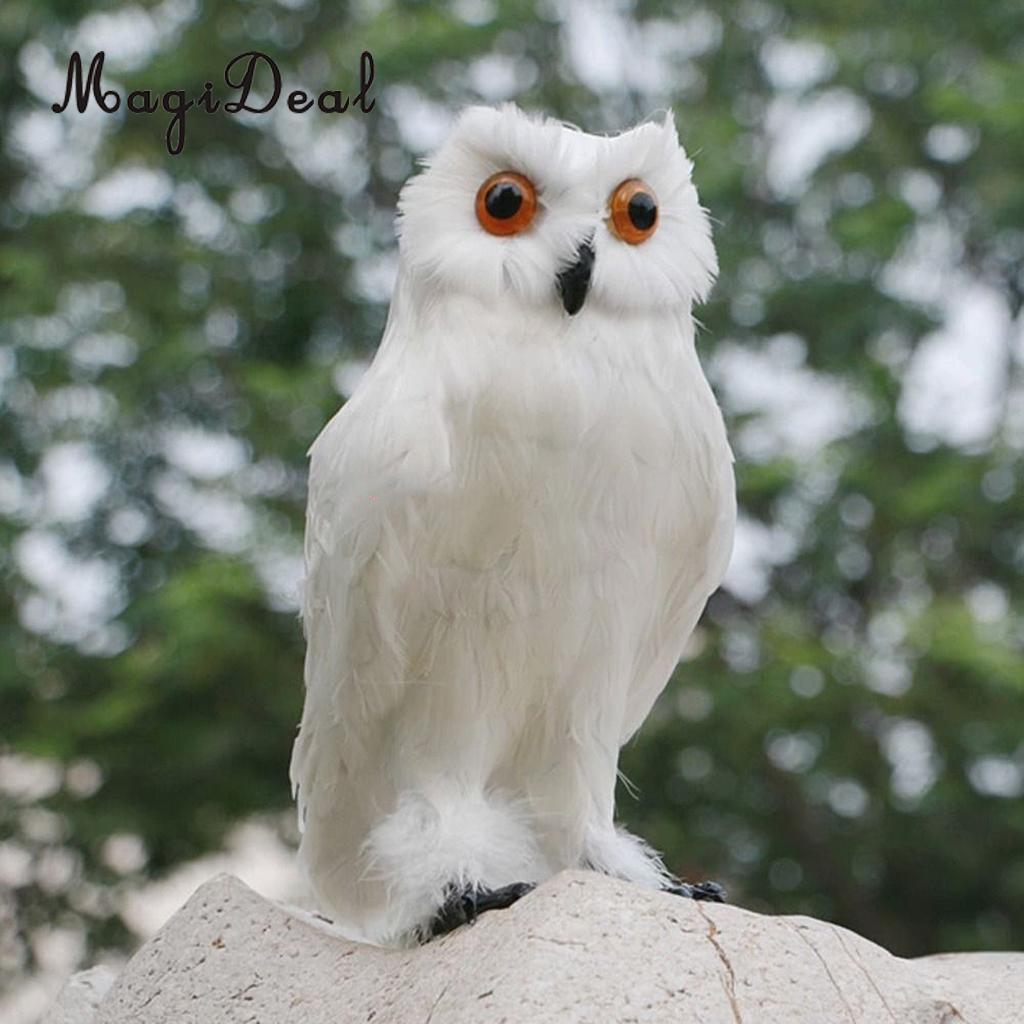 1 X Artificial Owl Bird Feather Realistic Taxidermy Garden Decor 12cm-27cm 