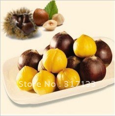 High quality plain nuts ZhuiLi leisure Chinese chestnut jingdong chestnut kernel hazelnut