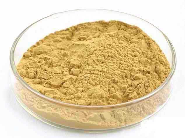 1000g Astragalus extract 5% Astragaloside