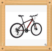 Fashion 21S Double Disc Bicicleta Mountain Bike NO Folding Bike Men’s Bicycle Resistance Rubber Aluminium Alloy Frame Road Bike
