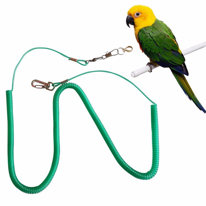 Parrot-Bird-Pet-Leash-Kits-Anti-bite-Flying-Training-Rope-Random-Color-Harness-Leash-Soft-Portable (4)
