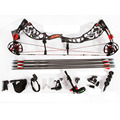 Archery Supplies Shooting Compound Bow and Arrow Set for Competitive Game Hunting Aluminium Alloy Riser CNC