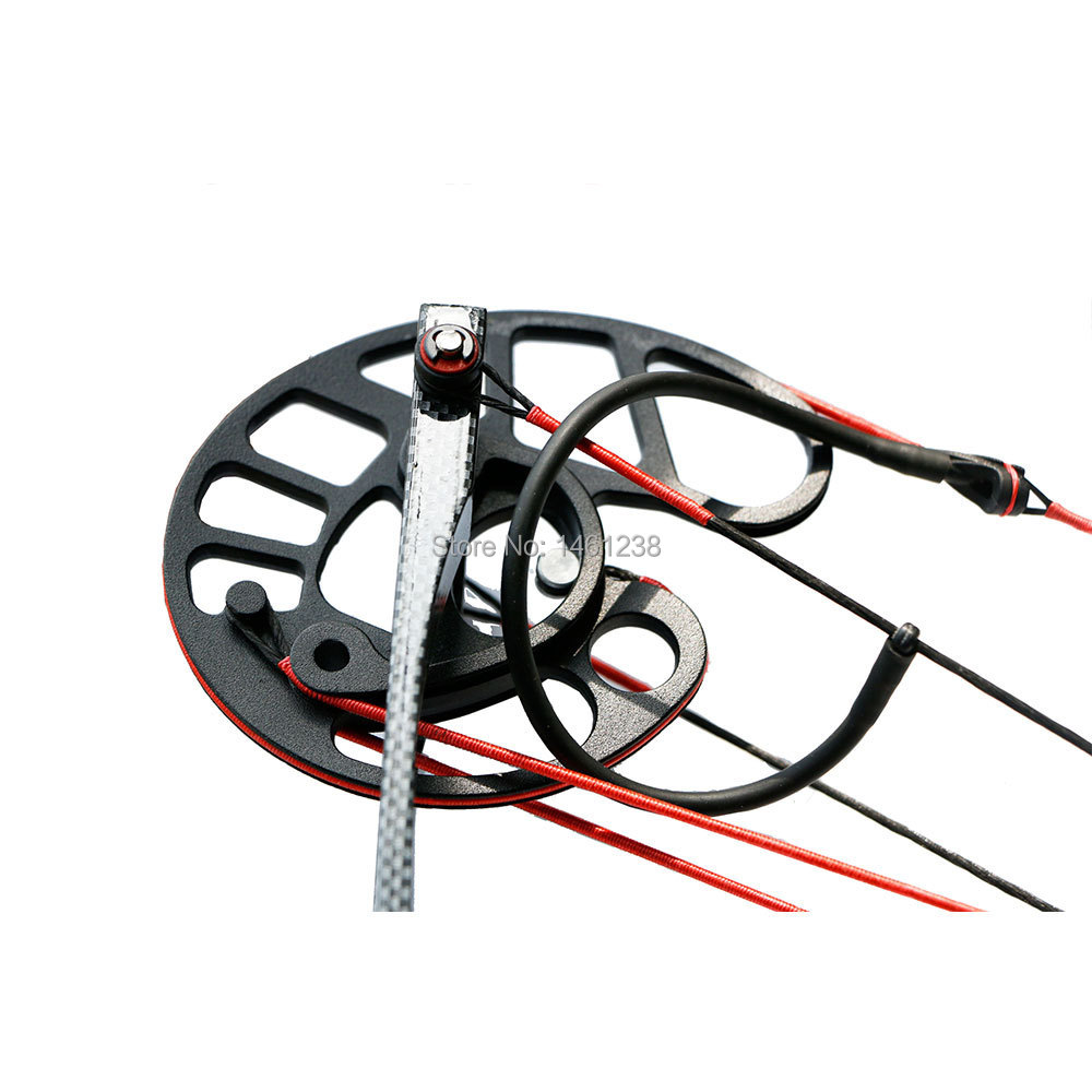 Hot sale Archery 50lbs hunting triangle compound bow Bow and arrow 260fps Arrow speed hunting shooting