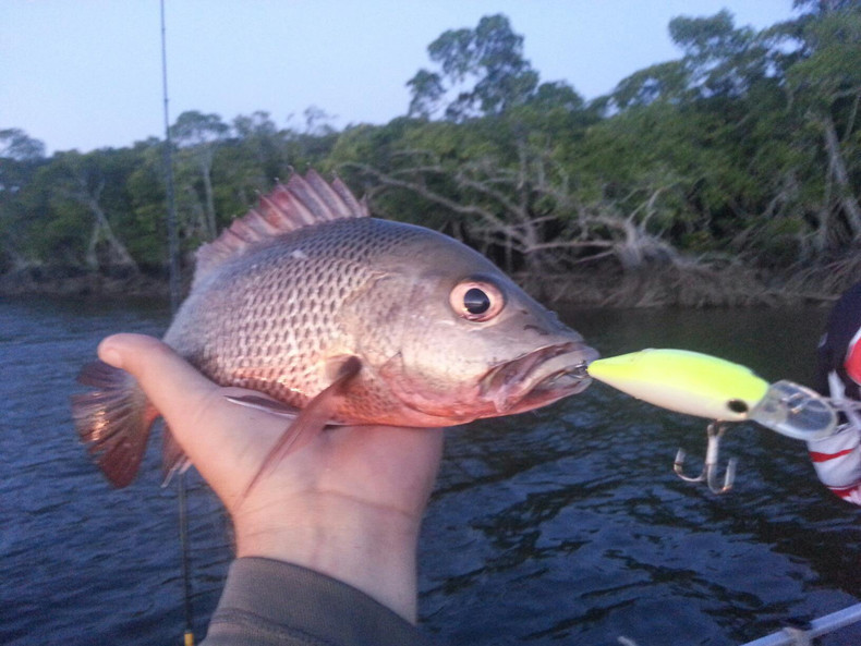 T22TrwXdXcXXXXXXXX-745193550