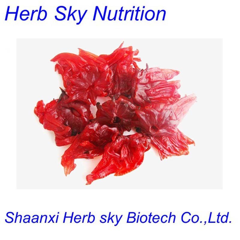 Hibiscus sabdariffa flower extract /dried hibiscus flowers extract 500g/lot