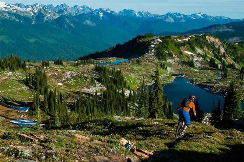 TB2qivFdpXXXXbUXpXXXXXXXXXX_!!61091081