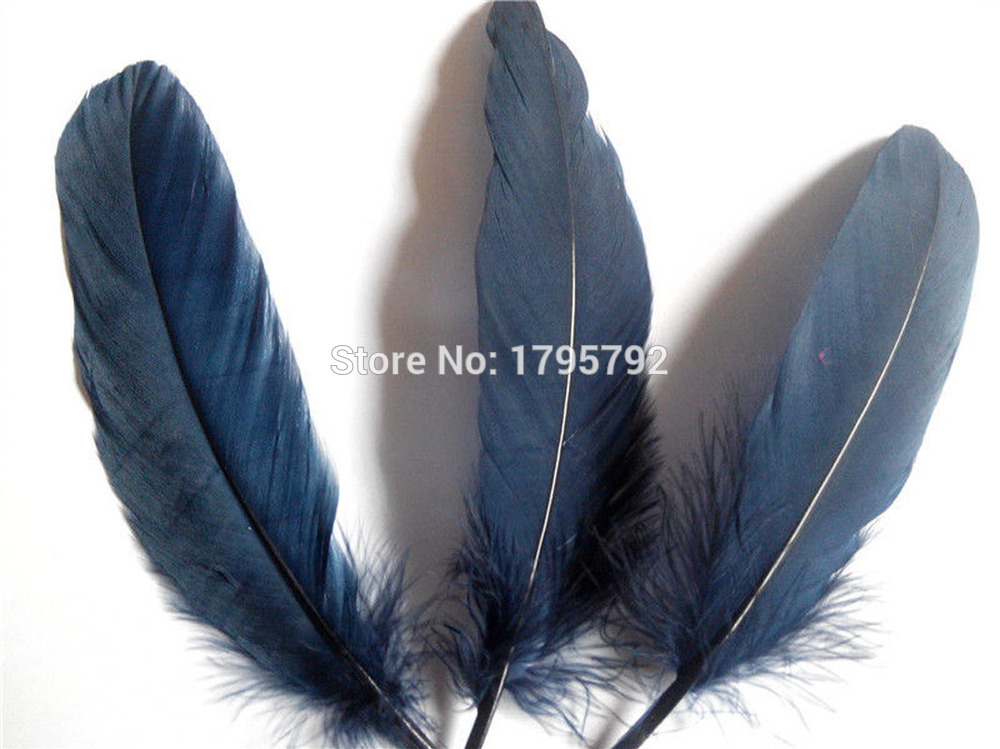10 .   Monnata  Feathers13-20cm    DIY       