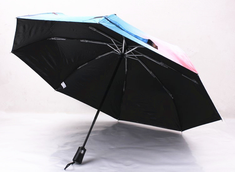 UMbrella guarda chuva paraguas16.jpg