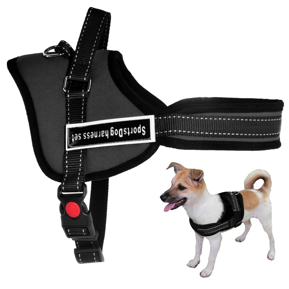 puppy harness and leash cat vest harness no metal cat get free image about wiring diagram puppy harness and leash cat vest harness no metal cat get free image about wiring diagram