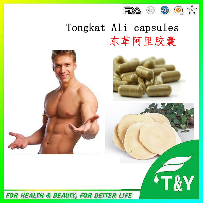 Top quality factory price Tongkat Ali /Eurycoma longifolia Extract 20:1 500mg*900pcs/Bag with free shipping