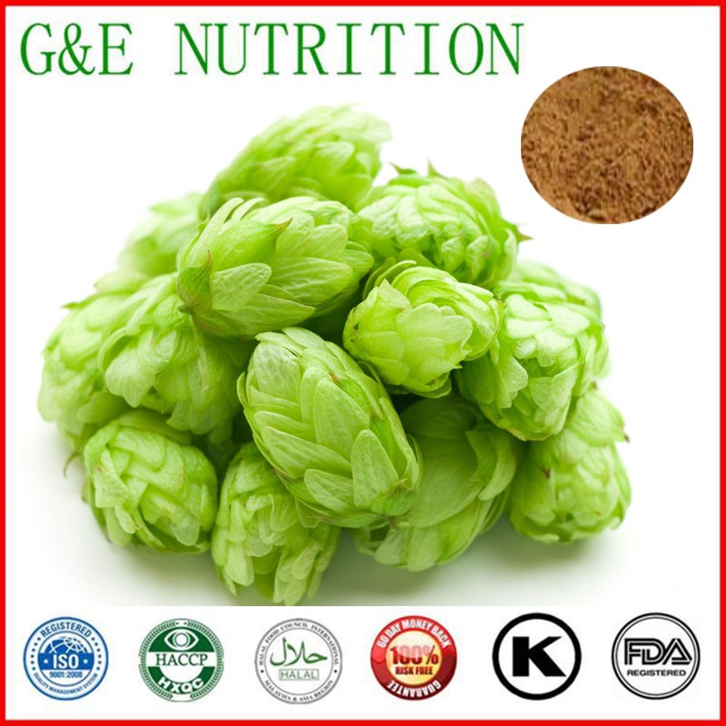 900g High quality Hops/ Humulus Lupulus/ Humulone/ Humulon Extract with free shipping