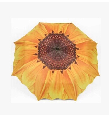 Sunflower  elargol      -       