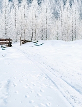 2.15M*1.5M(7FT*5FT) Frozen photo studio floor Footprint mark snow Christmas backgroundsZZ 1962