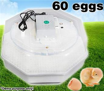 -SHIPPING-TO-AUSTRALIA-JN2-60-mini-egg-incubator-capacity-60-chicken 