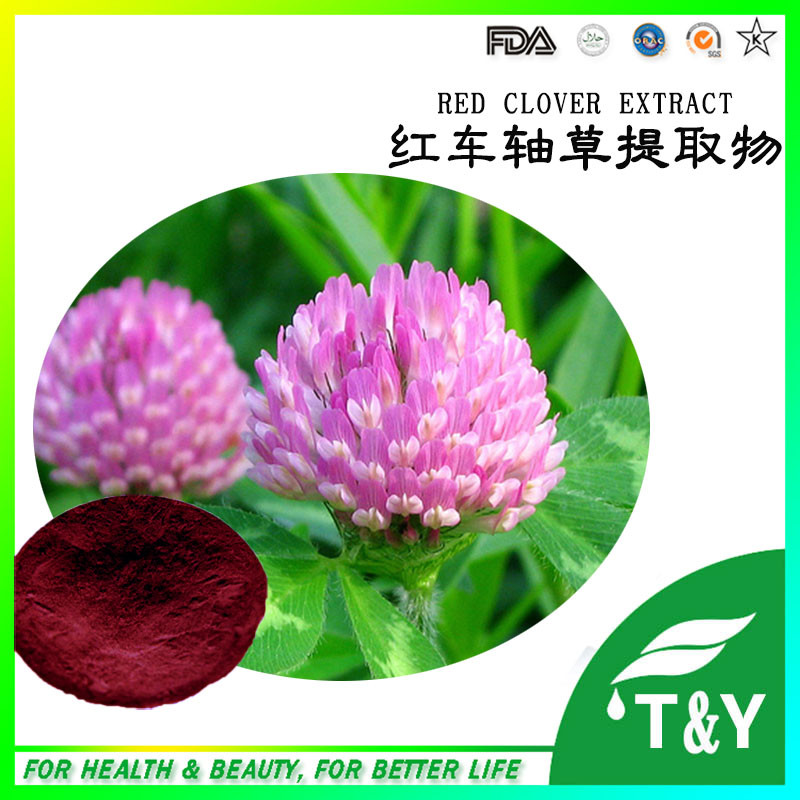 Trifolium Extract Powder, Red Clover Extract, Trifolium Pratense Extract