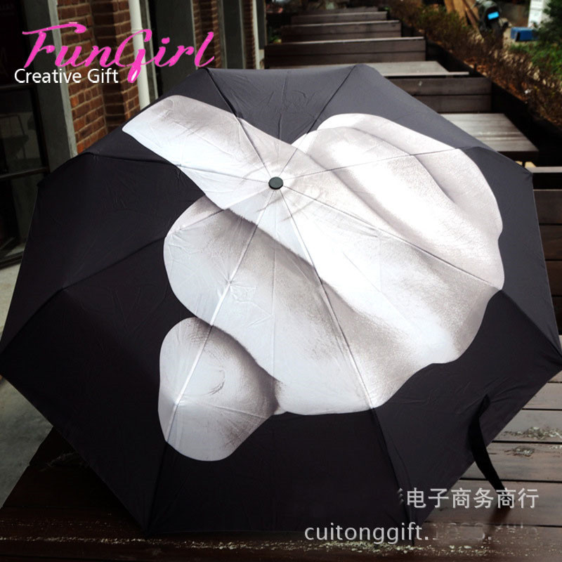 umbrella paraguas Umbrella03.jpg