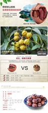 Free Shipping Wild hickory nut 456g 228g 2bags Cream flavor Snacks China food New Arrivals