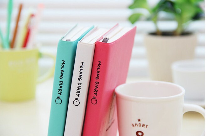 2015-2016 Cute Kawaii Notebook Cartoon Molang Rabbit Journal Diary Planner Notepad for Kids Gift Korean Stationery14