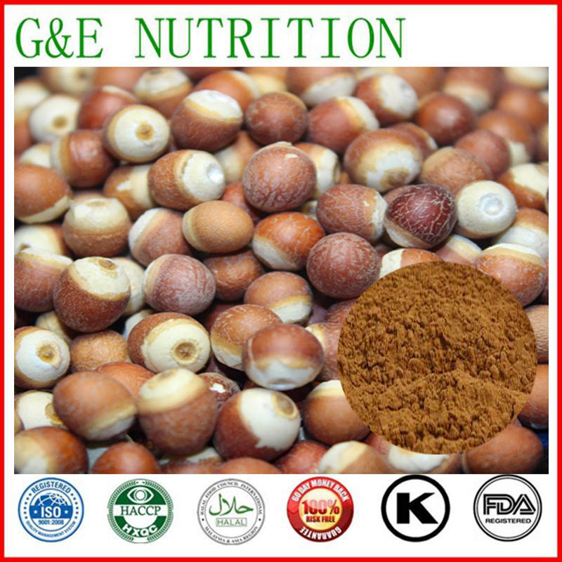600g Factory Price Gorgon fruit/ Gordon Euryale Seed/Semen Euryales/ Foxnut Extract with free shipping