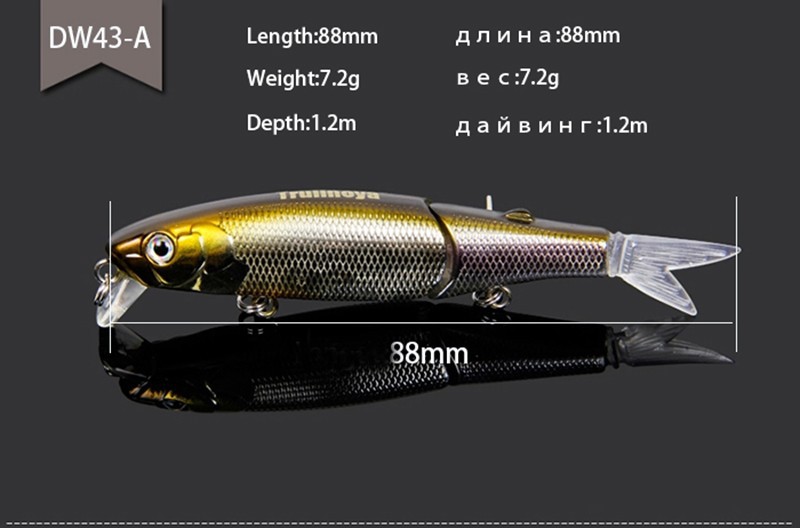 Trulinaoya Minnow 02
