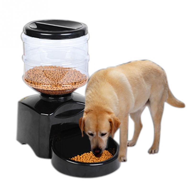Automatic Dog Food Delivery Automatic Dog Food Delivery