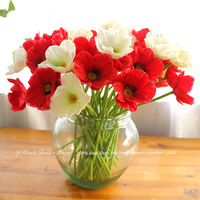 http://g01.a.alicdn.com/kf/HTB13wRqKFXXXXciXXXXq6xXFXXXm/Free-Shipping-4pcs-lot-Fresh-1-Head-Artificial-Mini-Corn-Poppy-Decorative-Silk-Flowers-Wedding-Bridal.jpg_200x200.jpg