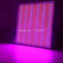HTB13xphQpXXXXcPXVXXq6xXFXXXk