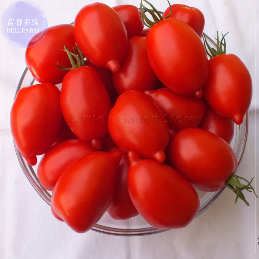 Legenda Tarasenko Russian Tomato Seeds, 100 Seeds, Professional Pack, organic bright red middle fruits E4075