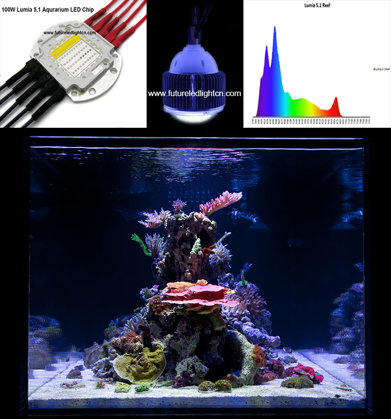 100w-full-spectrum-5-channel-High-Power-lumia-5-1-led-aquarium-light-free-shipping.jpg