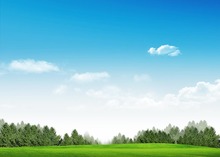 7x5ft Vinyl Custom Digital Photography Backdrops Props Photo Studio Background NTHCS-3147