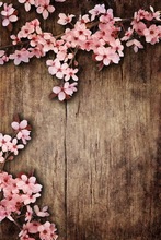5x7ft Thin vinyl cloth photography costume wedding custom wood background for photo studio free shipping f-1101