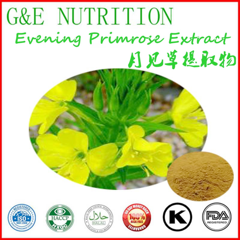 Best Selling 100% Natural Evening Primrose Extract with free shipping 1000g