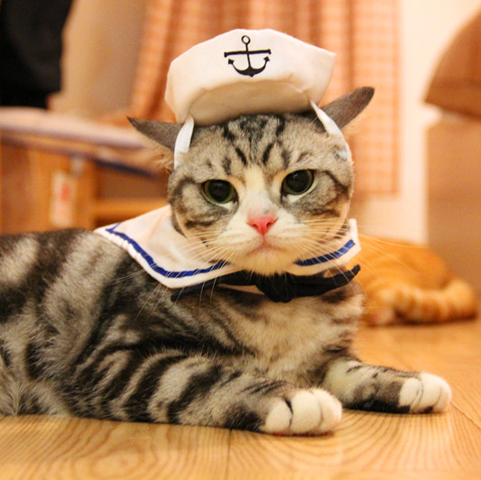         scarvesCute      sailor ,  + 