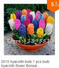 HTB153ZCNFXXXXckXpXXq6xXFXXXd