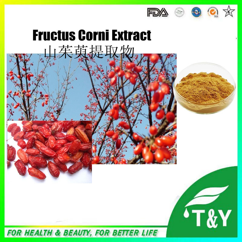 Hot sale Plant extract Common Macrocarpium fruit extract/Cornel extract/Fructus corni extract 600g/lot