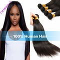 Charming 8A Malaysian Remy Hair Straight 4Pcs Virgin Hair Extensions Weave Human Hair Weave Extensions Malaysia