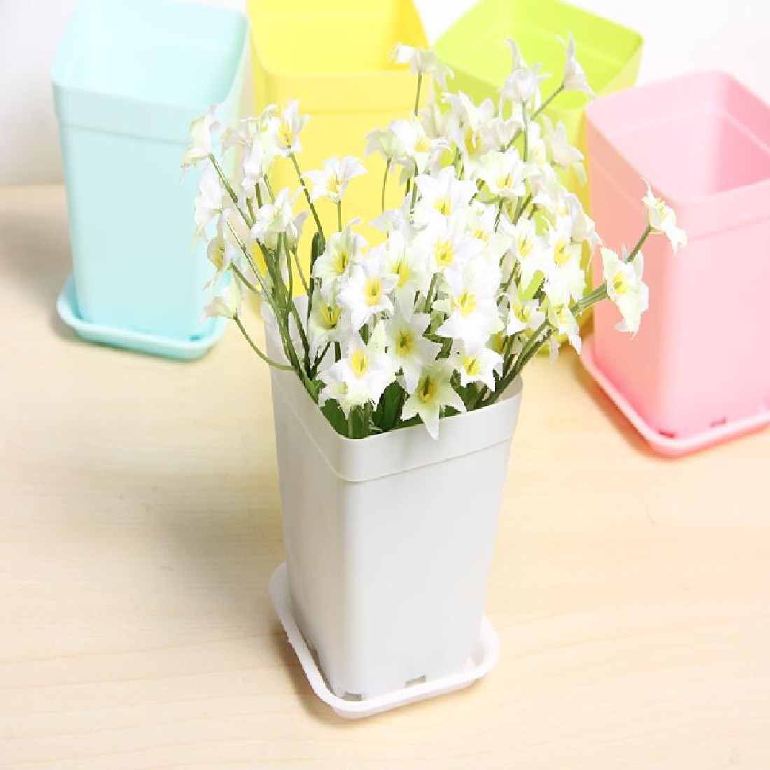Vergelijk prijzen op candy flower pots online winkelen / kopen ...